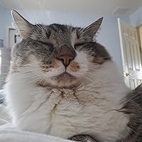 Profile Image for Stella.