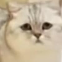 Profile Image for Jenny.