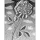 Rose &#x1f940;