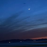 Profile Image for Celest.