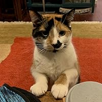 Profile Image for Michele.