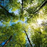 Profile Image for Whitney.