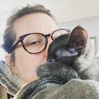 Profile Image for Alisha Petryshyn.