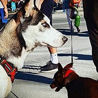 Profile Image for Tienn.