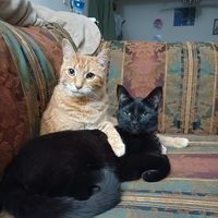 Profile Image for Theo.