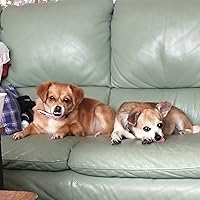 Profile Image for Yvonne Brouwer.