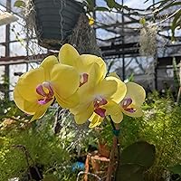 Profile Image for Joe.