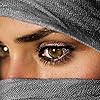 Al_bidaa البيداء