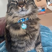 Profile Image for Matt Holman.