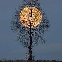 Profile Image for LIBBY Hardel.