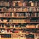Bookundercover2022