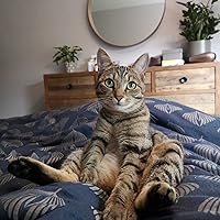 Profile Image for Elizabeth .