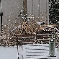 Profile Image for QUYNH NGUYEN.