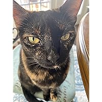 Profile Image for Sejell.