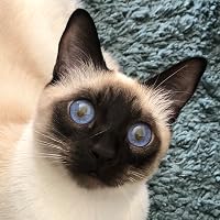 Profile Image for Rachel.