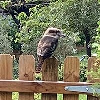 Ruby Moon by Matt Cameron | Goodreads