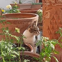 Profile Image for Leena.