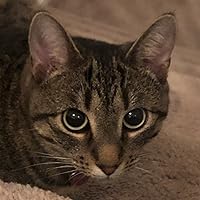 Profile Image for Ava Ritchie.