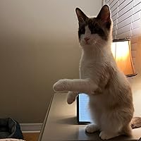 Profile Image for amp.