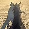Superhorse4
