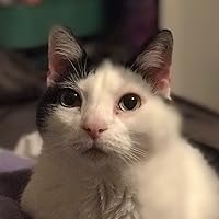 Profile Image for Dawn.