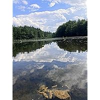 Profile Image for Todd Dennis.