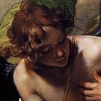 Profile Image for Rafael Nicolás.