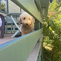 Profile Image for Riley.