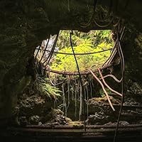 Profile Image for Blake Paine.