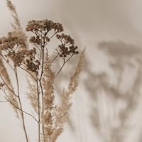Profile Image for ——— Lillet Books ———.