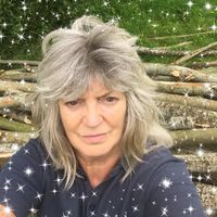 Profile Image for Lynn Stewart.