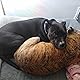 Maggie