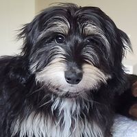 Let Them Play: The Mindful Way To Parent Kids For Fun A