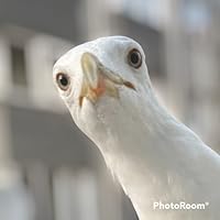 Profile Image for Matvey Aksenov.