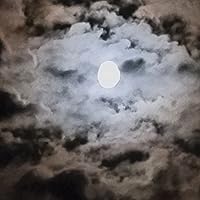 Profile Image for C C Garrison.