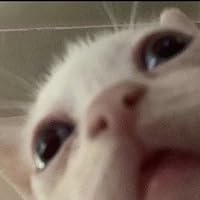 ビジネス・経済 Markov Chains J.R. Norris Markov Chains: Norris, J. R.: 9780521633963: Statistics