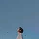 Skylarkse