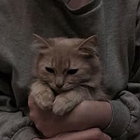 Profile Image for Vaz.