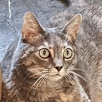 Profile Image for Trevor.