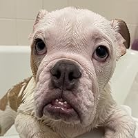 Corruption Plots: Stories, Ethics, and Publics of the Late Capitalist