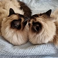 Profile Image for Jane K.