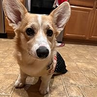 Profile Image for Kristen.