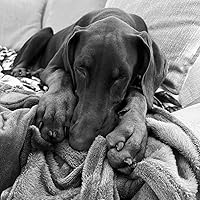 Profile Image for Craig M.