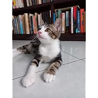 Profile Image for Eko Wurianto.