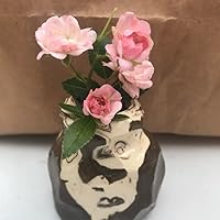 Profile Image for Grace.