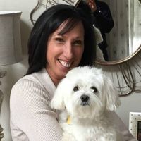 Profile Image for Angie Doherty.
