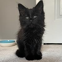 Profile Image for Jen.