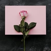 Profile Image for Zainab.