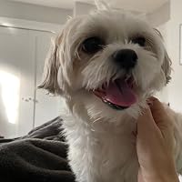 Profile Image for Lisa.