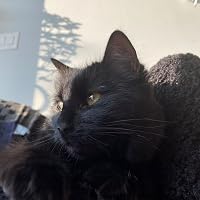 Profile Image for Laura.